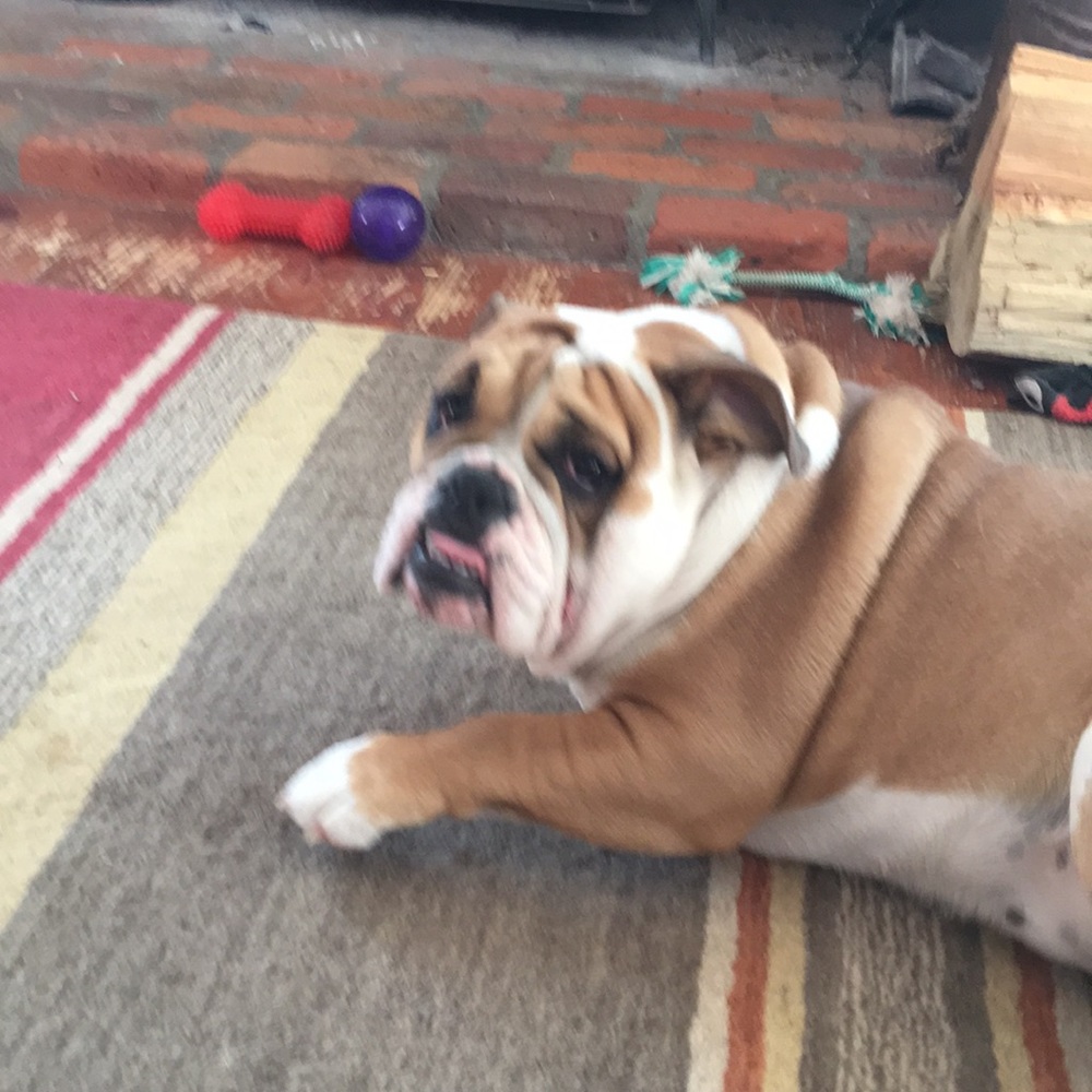 Meet your Posher, Stacy